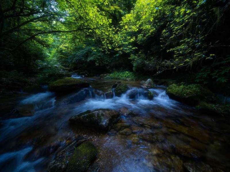 氨氮在線水質(zhì)分析儀的優(yōu)點(diǎn) 氨氮在線水質(zhì)分析儀的優(yōu)點(diǎn)