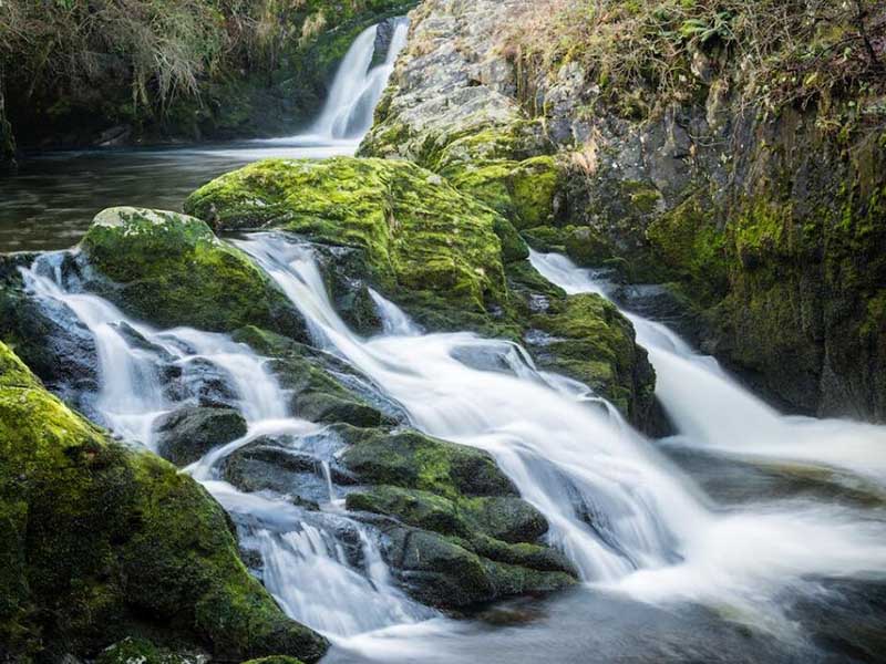 在線鈣離子分析儀工作原理
