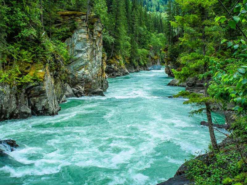 水中氨氮超標如何處理