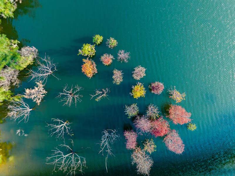 COD檢測儀消解比色一體管好處是什么